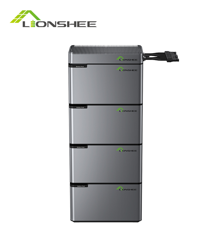 Batterie d'énergie portable LIONSHEE LS-L1024 4096W