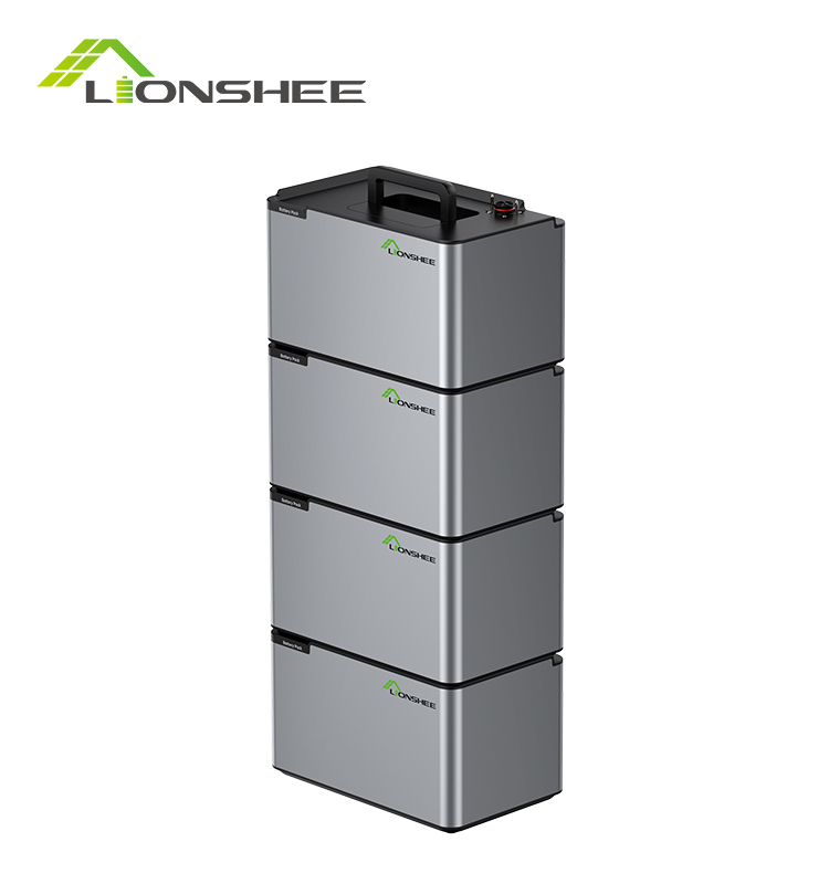 Batterie d'énergie portable LIONSHEE LS-L1024 4096W